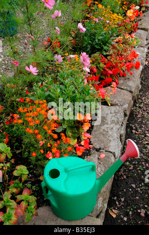 A green watering can stands on a flowerbed border amidst  flowers in a garden bed. Stock Photo