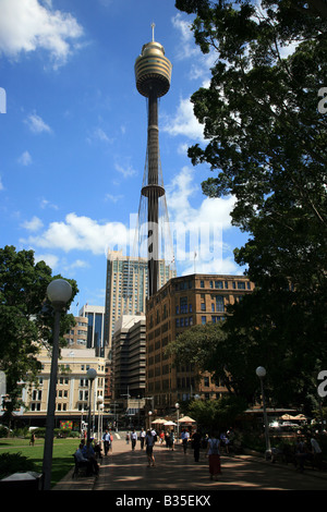 Sydney Tower, Skyline,   AMP Centrepoint, Stock Photo