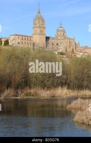 Rio River Tormes with the New and Old Cathedrals Catedral Nueva Vieja Salamanca Spain Stock Photo