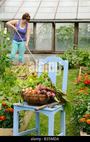 Lady gardener tending Summer garden with raised beds containing flower and vegetable crops Stock Photo