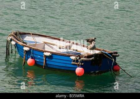 Seagulls sitting on blue fishing boat moored at St. Ives harbour in Cornwall,England. Stock Photo