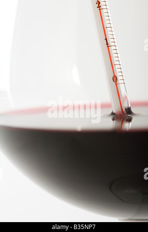 Thermometer in glass of red wine, extreme close-up Stock Photo