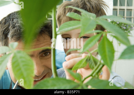 Father and son pruning plant together, smiling Stock Photo