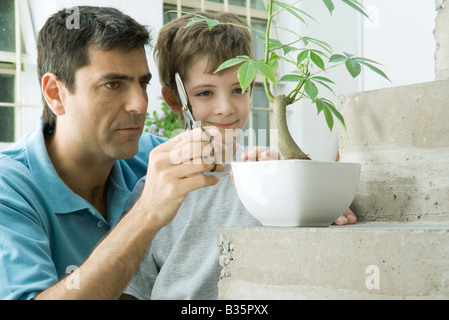 Father and son pruning potted plant together, boy smiling Stock Photo