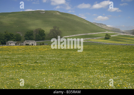 View across a meadow at Malham, in the Yorkshire Dales National Park, looking towards Gordale Scar. Stock Photo