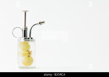 Spray bottle with white grapes inside Stock Photo