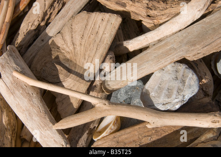 Driftwood and stones Stock Photo