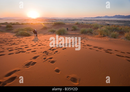 Visitors walk at dawn among sand dunes of Sossusvlei sand dune area in south central Namibia Stock Photo
