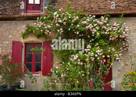 Traditional French farmhouse in the Drulon gardens, Loye sur Arnon, Rose 'Pierre De Ronsard' Stock Photo