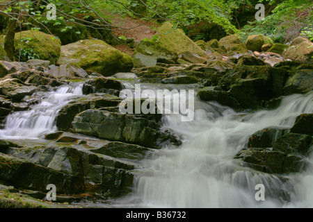 Part of the Falls of Moness in the Birks of Aberfeldy, a stunning tree lined gorge in Perthshire, Highlands of Scotland. Stock Photo