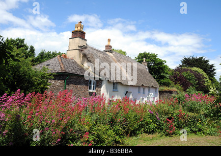 This attractive row of thatched cottages in the beautiful village of Ringmore near Modbury South Devon England Stock Photo