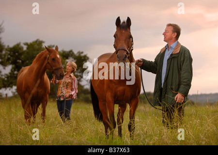 A MAN AND WOMAN WITH HORSES IN A PADDOCK WILTSHIRE UK Stock Photo