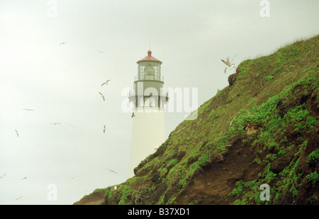 Yaquina Lighthouse Oregon West Coast Lighthouses and Birds Horizontal Stock Photo