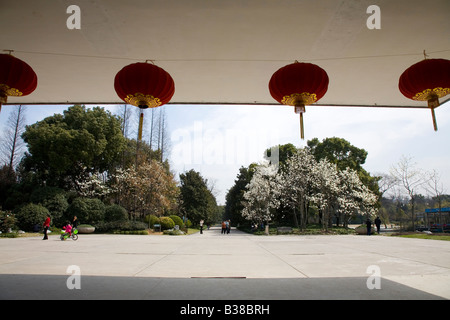 Large gold and red Chinese lanterns with spring flowers in the background at Shanghai Botanic Garden Stock Photo
