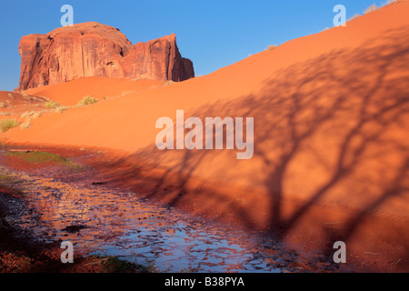 Sand Springs in Monument Valley, under the shadow of a nearby tree Stock Photo