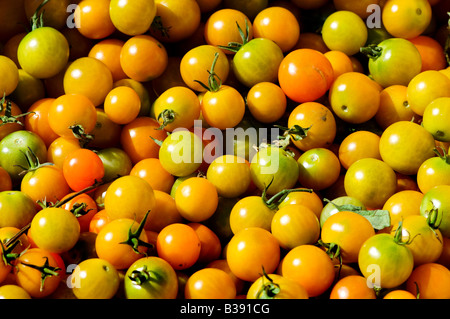 Green tomatoes on sale at a Chicago farmers market Stock Photo - Alamy