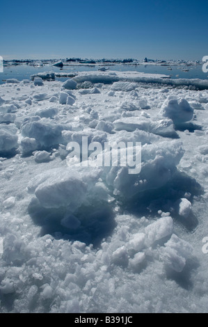 An Iceberg on Philpots Island in the Canadian Arctic melting in the sunlight. Stock Photo