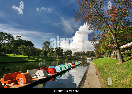 Paddleboats lined up along the River Torrens Adelaide South Australia on a sunny day Stock Photo