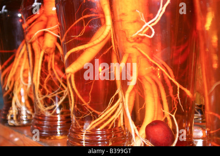 Ginseng roots on display for sale in some glass bottles in a market in Korea. Stock Photo