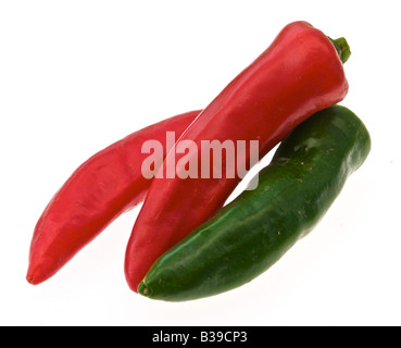 CULINARY HERBS HERB Chillies Chili Pepper capsicum frutescens a much used herb Stock Photo