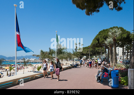 Beach and the Promenade de la Croisette, Cannes, Cote d'Azur, Provence, France Stock Photo