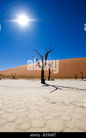 Deadvlei in the Namib-Naukluft National Park, Namibia Stock Photo