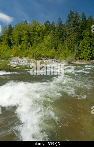 Fast flowing waters of Englishman River Parksville Vancouver Island British Columbia Canada North America Stock Photo