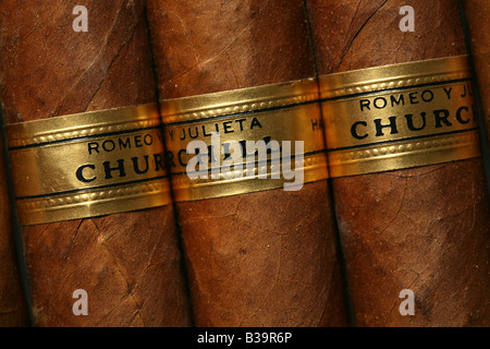 Famous Cuban cigars Romeo y Julieta (Romeo and Juliet) Churchill size Stock Photo
