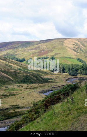 The Trough of Bowland and Hareden Brook in the Forest of Bowland in North Lancashire Stock Photo