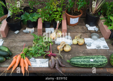 Honesty box, farm fresh vegetables for sale Nether Stowey, Please put money In tin. Quantocks Hills  Somerset UK  .HOMER SYKES Stock Photo