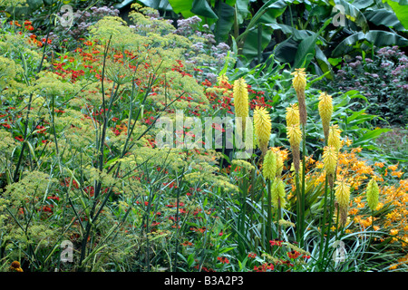 HOT BORDER AT HOLBROOK GARDEN IN LATE AUGUST WITH BRONZE FENNEL HELENIUMS AND KNIPHOFIA SHINING SCEPTRE Stock Photo