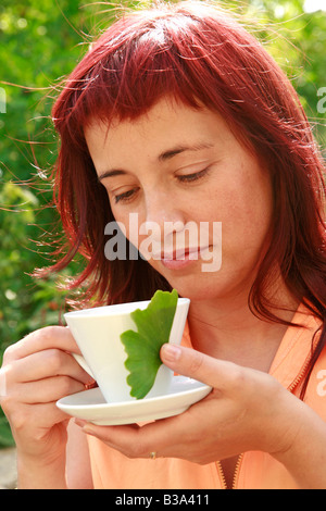 Ginkgo infusion Stock Photo