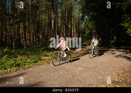 UK Cheshire Delamere Forest Park man and woman cycling Stock Photo