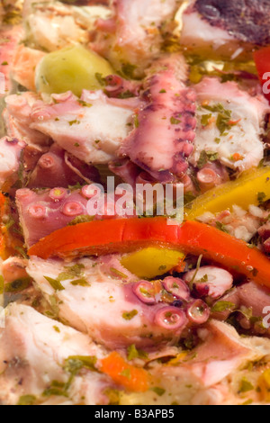 "A la Provençale" Octopuses (Octopus macropus). Poulpes (Octopus macropus) à la Provençale. Stock Photo