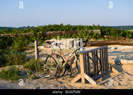 Bikes parked at beach stall, First Encounter Beach, Cape Cod, MA Stock Photo