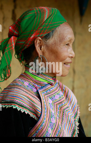 Flower Hmong tribeswoman at a village near Bac Ha, Vietnam Stock Photo ...