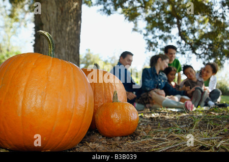 Pumpkins with family in background Stock Photo