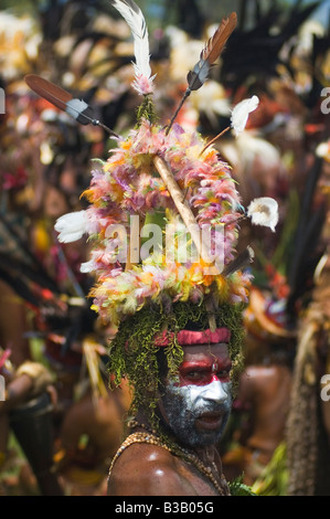 PNG Dancer Goroka Show Singsing Stock Photo