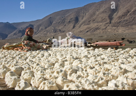 Yogurt Cheese Balls Drying in the Sun in Jalang Village in the Pamirs in Tajikistan Stock Photo