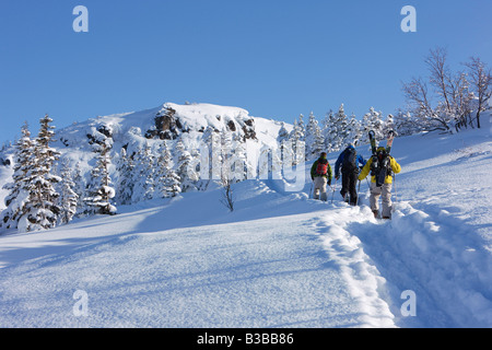 Backcountry Skiers Ascending Hill, Furano, Hokkaido, Japan Stock Photo