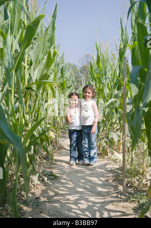 Hispanic sisters in corn field Stock Photo