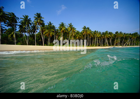 Tropical beach in the Mentawai Islands off Sumatra Indonesia Stock Photo