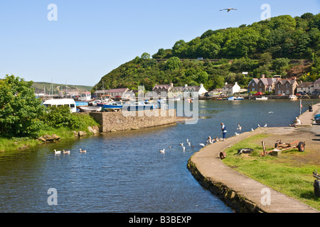 Feeding the ducks at the Harbour, Lower Fishguard, Pembrokeshire Stock Photo