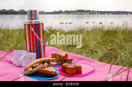 Still Life Thermos Flask Ciabatta Sandwich Stock Photo 1690445233