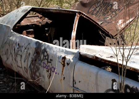 An old abandoned car body that is covered in graffiti Stock Photo