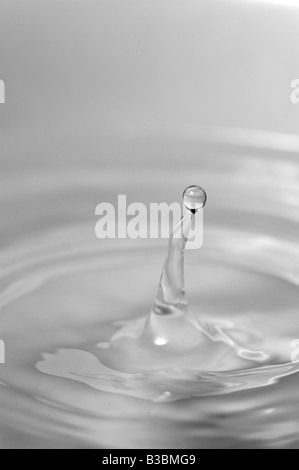 water drop making rings drip splash drop Stock Photo
