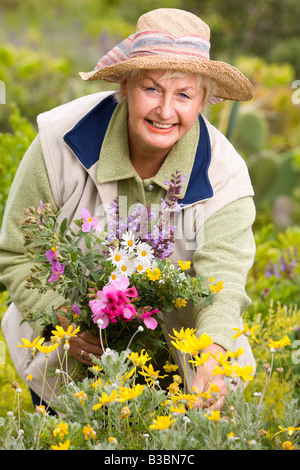 Portrait of Woman in Meadow, Collecting Flowers Stock Photo