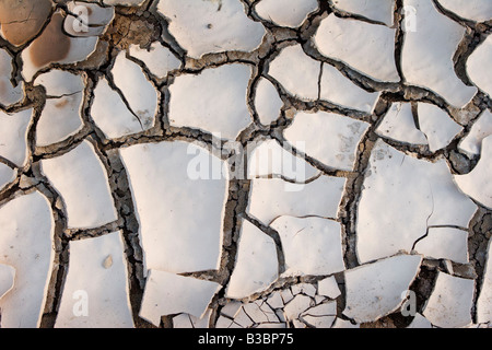 Cracked Earth, Cochiti, New Mexico, USA Stock Photo