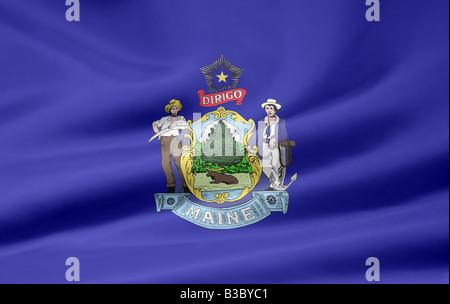 Flag USA. America and freedom, state and nation, vector illustration