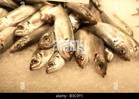 Close up of fish lying on ice in a market Stock Photo